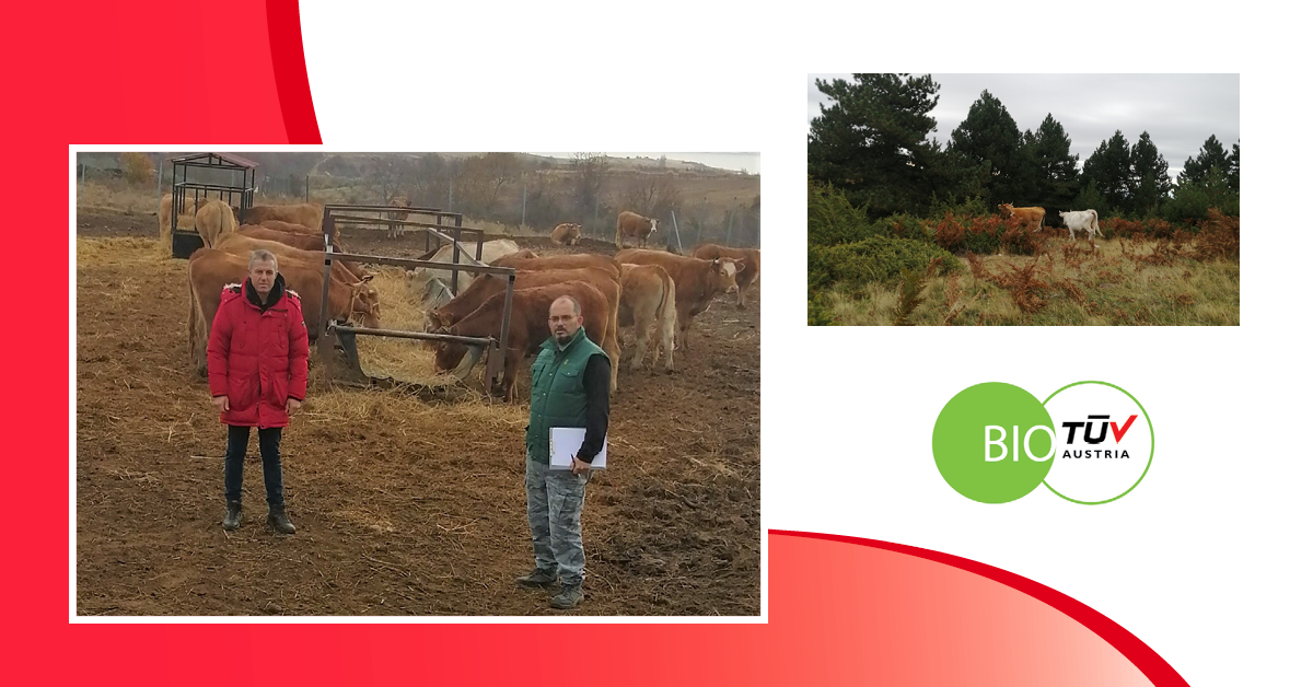 H κτηνοτροφική μονάδα της Σπανού Αθηνάς & του Ζαρογιάννη Νίκου είναι πιστοποιημένη από την TÜV AUSTRIA Hellas