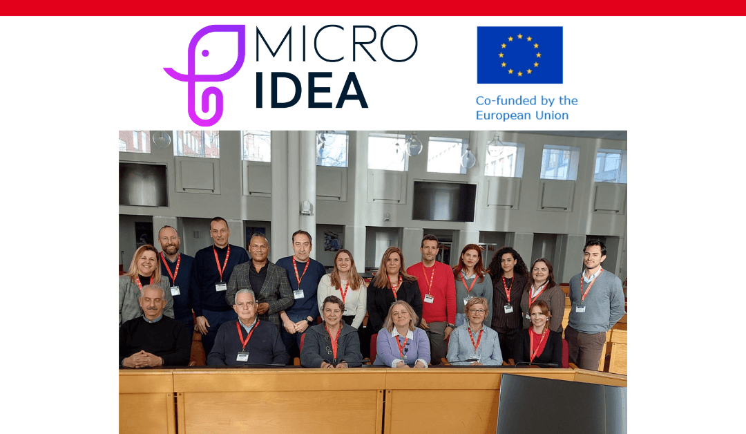 3rd Transnational MICROIDEA Project Meeting in Copenhagen, Denmark