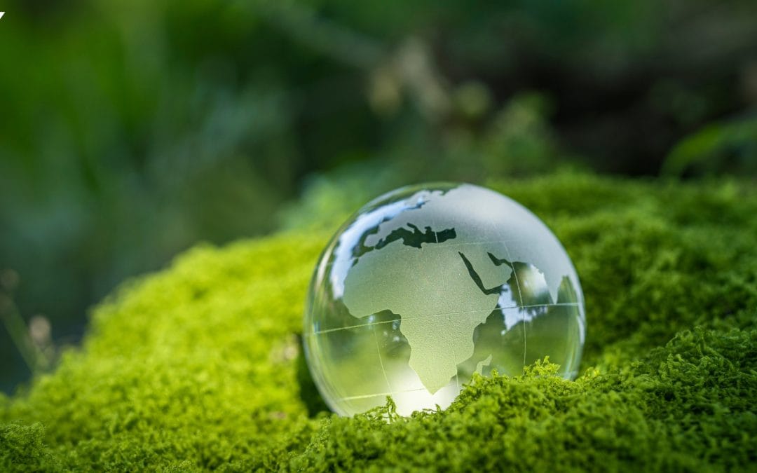 Το ISO 14001:2026 αποτελεί πλέον πραγματικότητα!